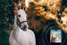 horse beige-with background_low resolution