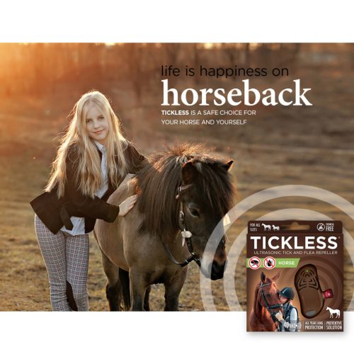 horse beige-with background_low resolution