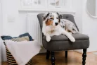 Tickless® Home