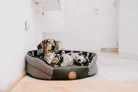 Tickless® Home