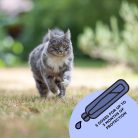 Spot-on_Cat_box shot_bg