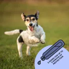 Tickless® Flea and Tick Repellent Spot-On for Small Dogs Under 20 kg