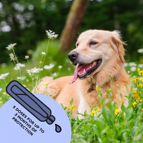 Tickless® Flea and Tick Repellent Spot-On for Medium-Sized Dogs (20–40 kg)