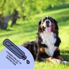Spot-on_Large Dog_box shot_bg